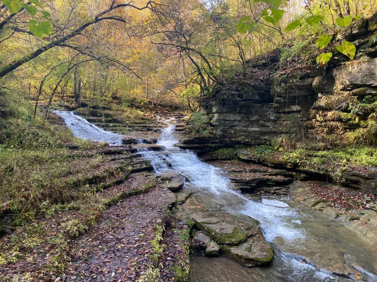 A woodland stream cascades over broad rock ledges beside a layered rock wall and trees with green and golden leaves.
